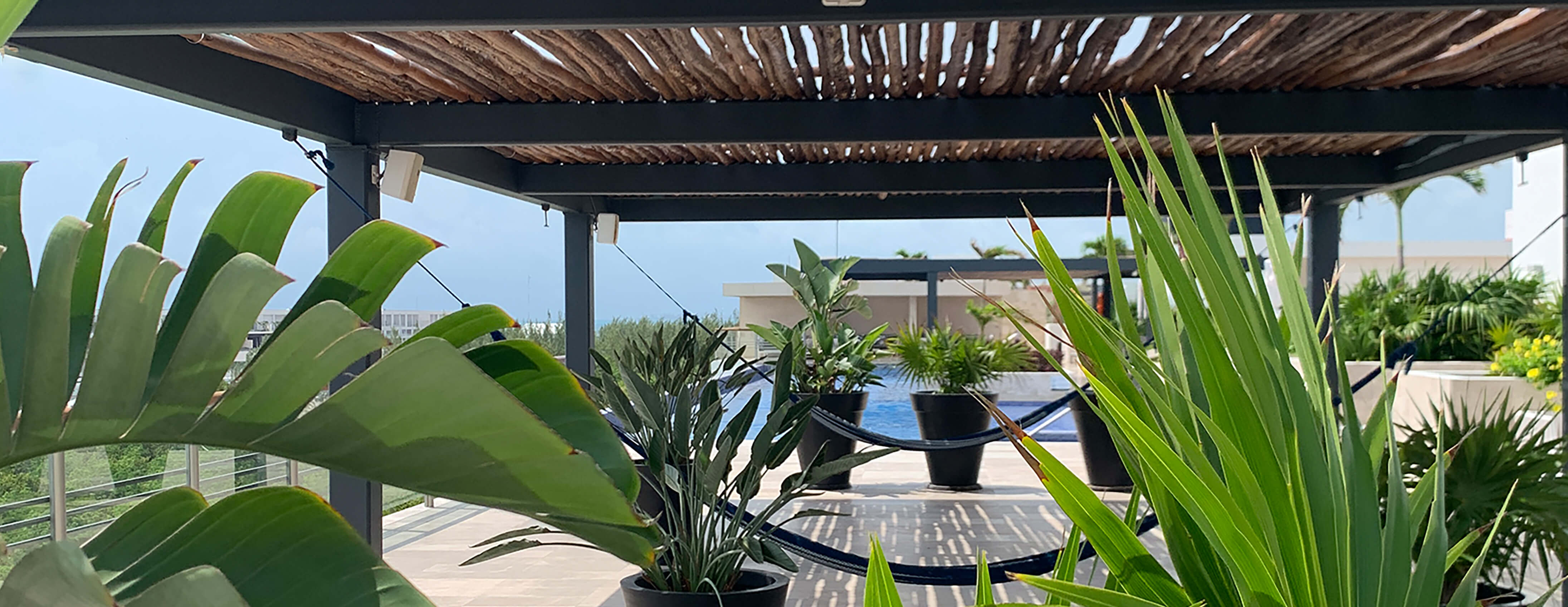 ROOFTOP-1